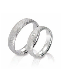 Steidinger 41338/5.5