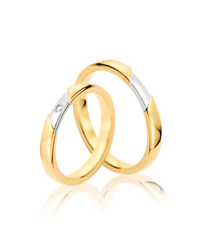 Steidinger 41683/3.5