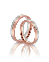 Steidinger 41724/4.5