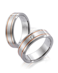 Steidinger 41189/6.5