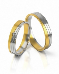 Stelmach-Modell 299