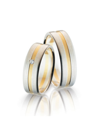 Steidinger 41655/6.5