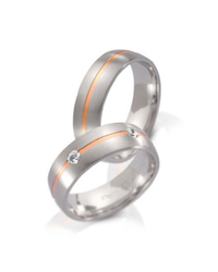 Steidinger 41195/6.5