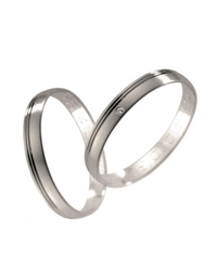 Steidinger 41119/3.2