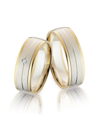 Steidinger 41654/6.5