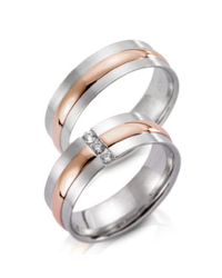 Steidinger 41203/6.6