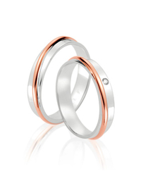 Steidinger 41692/4.3