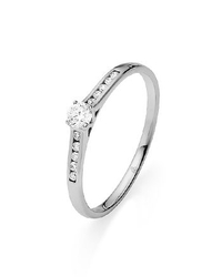 Rauschmayer 51-00033