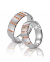 Steidinger 41336/6.5