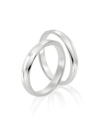 Steidinger 41694/3.8
