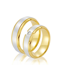 Steidinger 41739/6.5