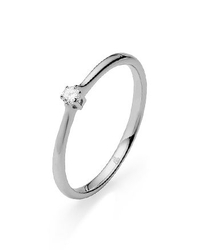 Rauschmayer 51-00012