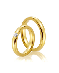 Steidinger 41738/3.5