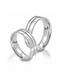 Steidinger 41339/6.5