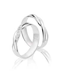 Steidinger 41688/4.7