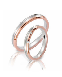 Steidinger 41342/3.5