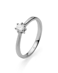 Rauschmayer 51-00016