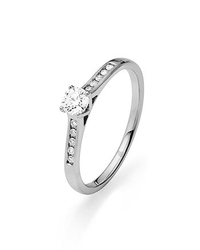 Rauschmayer 51-00036