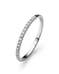 Rauschmayer 11-02088-W