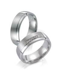 Steidinger 41197/6.5