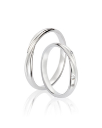 Steidinger 41681/3.5