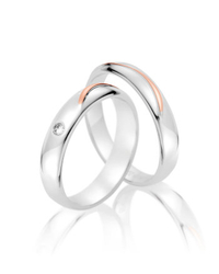 Steidinger 41685/4.5